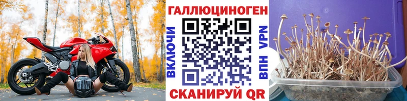 Галлюциногенные грибы ЛСД  KRAKEN ONION  Октябрьский 