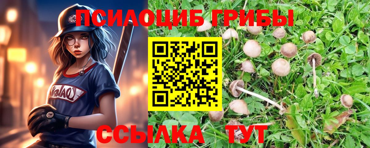 Галлюциногенные грибы Psilocybine cubensis  Вход с VPN  цена наркотик  Октябрьский 